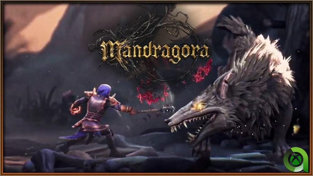 Mandragora