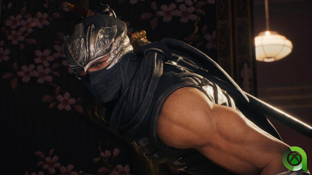 Ninja Gaiden 2 Black