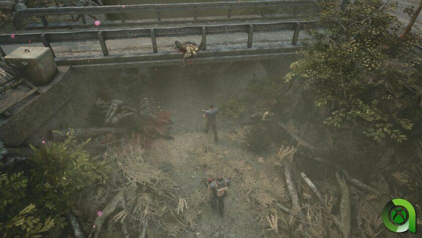 Análisis Chains of Freedom