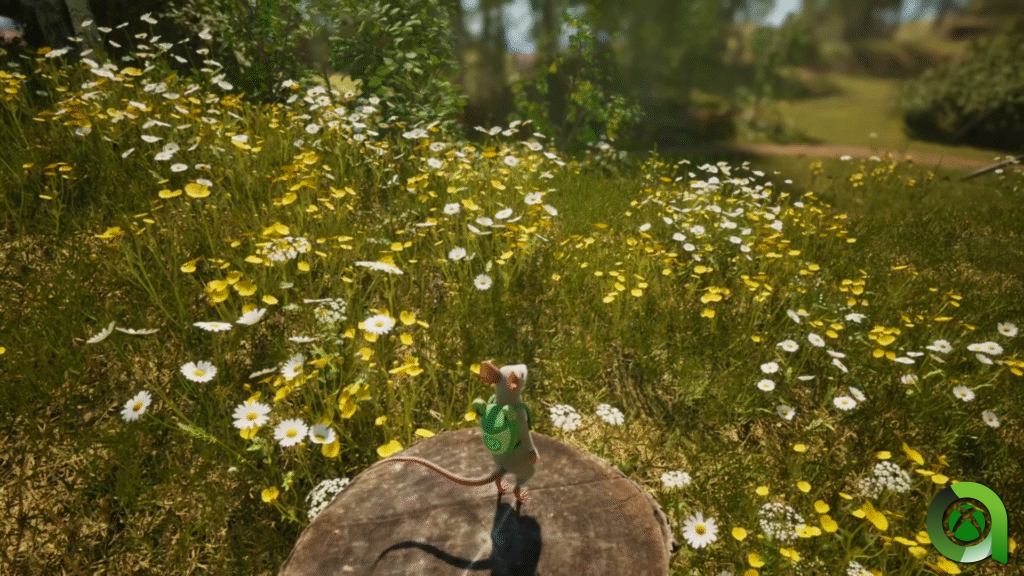 Es la hora de los secundarios