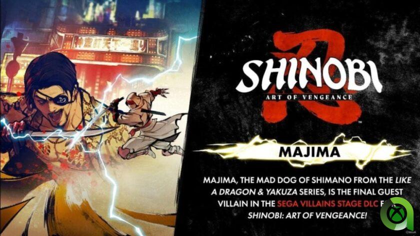 Shinobi Art of Vengeance DLC